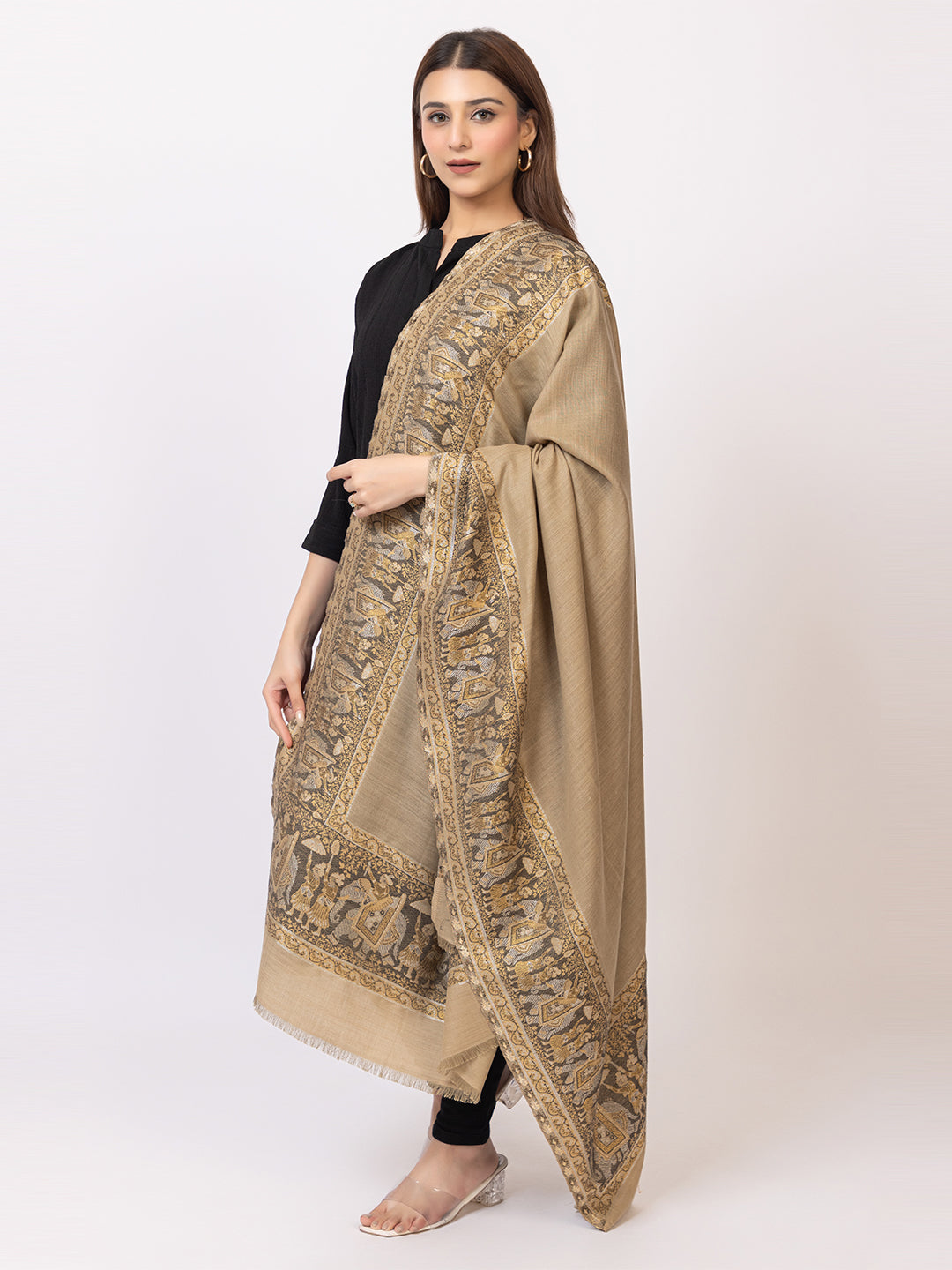 Tillaari Beige Shawl with Traditional Elephant and Floral Border