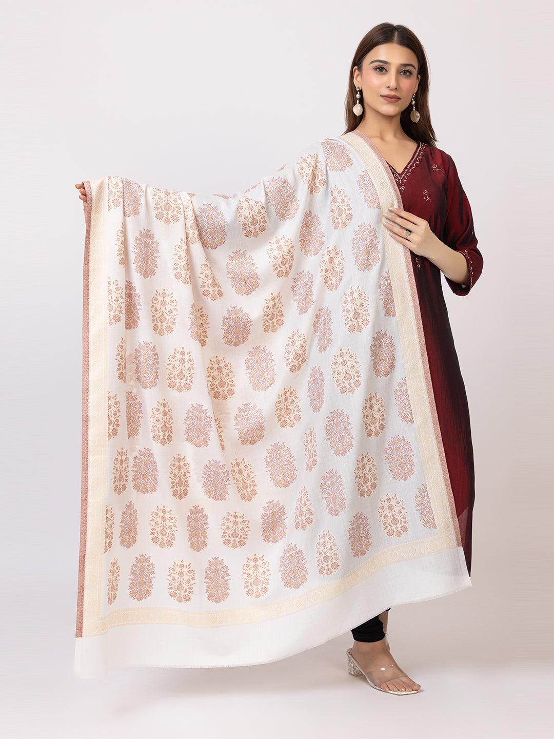 Tillaari Resham Shawl with Leaf and Geometric Border