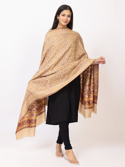 Tillaari Beige Shawl with Floral Jaal and Paisley Border